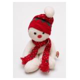 Ty Snowboy Beanie Buddies Plush