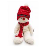 Ty Snowboy Beanie Buddies Plush