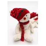 Ty Snowboy Beanie Buddies Collection Plush