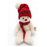 Ty Snowboy Beanie Buddy Plush
