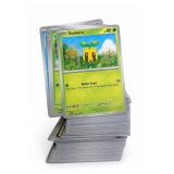 2024 Pokémon Trading Card Lot With Sunkern