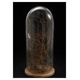 Glass Dome Cloche Branch Display With Wood Base