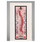 Disposition Human Spine Anatomy Art Print