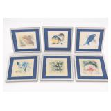 Six Framed Nature Prints: Birds, Rabbit & Flowers