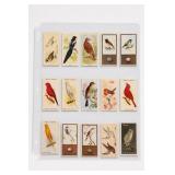 Cigarette Bird Cards, Multiple Series & Issuers