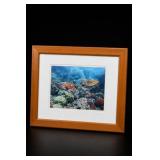 Monica & Michael Sweet Signed Turtle Giclee