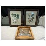 FRAMED PRINTS  APPLE STRAWBERRY AND WATER WHEEL