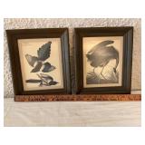 Framed Audubon Bird Prints: Magpie and Blue Heron