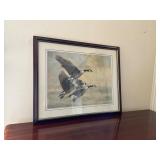 Framed Print of Geese in Flight by Christopher For