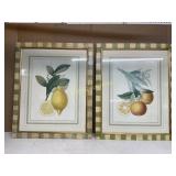 2 FRAMED PRINTS ORANGES AND LEMONS