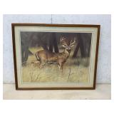 Framed Wildlife Print of a Deer in Forest Scene