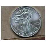 2009 Uncirculated Walking Liberty Silver Dollar