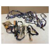 Jeff Gordon Lanyards