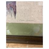 Framed Print of Racoons in Tree Hollow