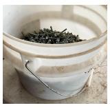 Bucket of Galvanized Hexagonal Screws