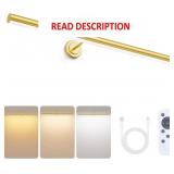 Bridika 23.6in Picture Light with Remote