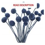 CISDUEO Dried Craspedia Billy Balls - 20 Pcs