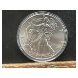 2019 UNCIRCULATED SILVER EAGLE
