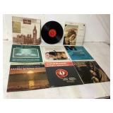 Vinyl Record Sleeves with 17 Empty Sleeves