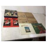 12 Vinyl Records with Assorted Covers