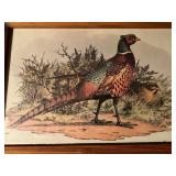 Framed Pheasant Wildlife Prints