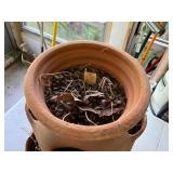 Terracotta Strawberry Planter Pot