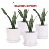 Plant Pots - 5.5 Inch Cylinder Ceramic Planters wi