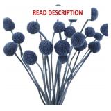 CISDUEO Dried Craspedia Billy Balls - 20 Pcs