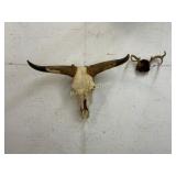Mounted Cow Skull and Antler Plaque Decor