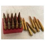 28 Rounds of .223 Ammunition