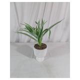 Potted Plant in Speckled Ceramic Planter