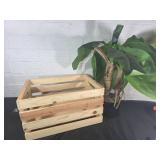 Home Decor Lot with Plant and Wooden Crate