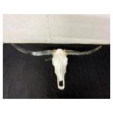 Mounted Longhorn Skull with Polished Horns