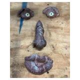 Climbing Holds Set Featuring Facial Features