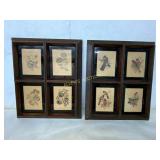 Framed Botanical and Bird Prints