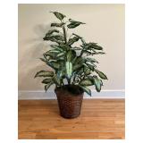 Artificialï¿½ Plant in Basket