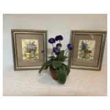 Framed Prints andï¿½ Plant