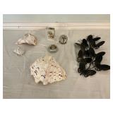 Seashells Butterflies and Paperweights