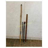 Walking Sticks and Yardstick
