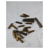.22 Caliber and Super Speed Hornet Rounds