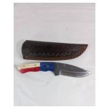Damascus Knife with Multicolor Handle and Sheath