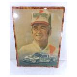 Harry Gant Wooden Wall Art