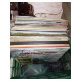 Vinyl Records in Plastic Crate