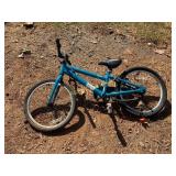 Teal Kidï¿½s Bicycle with 20-inch Wheels