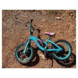Childrenï¿½s Turquoise Bicycle with Pink Accents