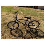 Trek Mountain Lion Kidsï¿½ Bicycle