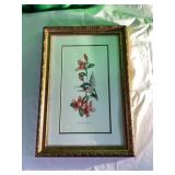 Framed Hummingbird and Flowers Print by Carolyn Sh