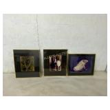 Three Framed Photographic Prints