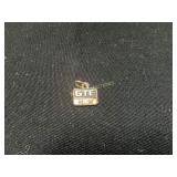 10 kt Gold GTE Pendant, 1.6 Grams
