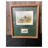 Framed Waterfowl Illustration With Stamp